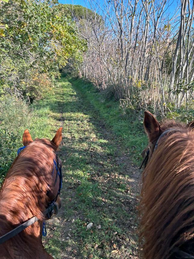 Grande successo per la quarta edizione del “Memorial Parduccio”