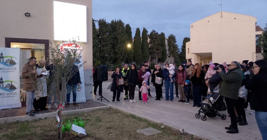 “Chi pianta un albero, pianta una speranza”, a Casalbordino la Festa dell’Albero della Pro Loco