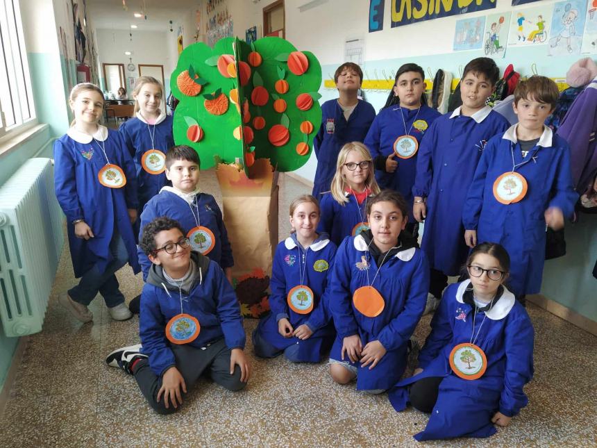 Il progetto "Adotta un albero di arance" della primaria di Casalbordino 