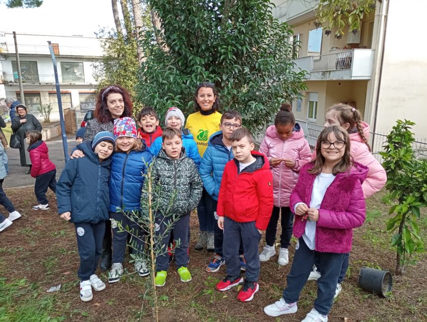 Festa dell’albero: le piantine messe a dimora alle Figlie della Croce formano la scritta “Pace” 