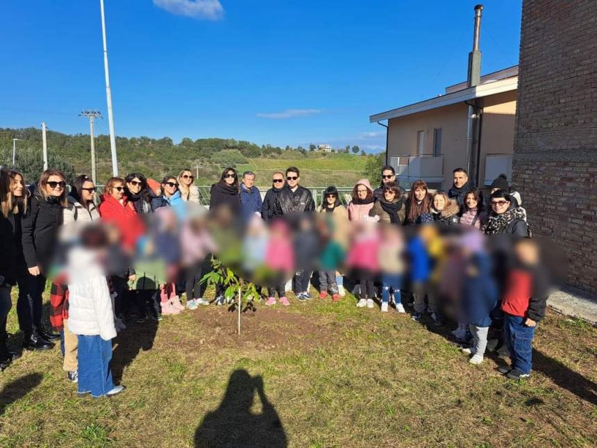 Pianta di castagno e un Luisito per le deiezioni: a Cupello il progetto dell'infanzia Ridolfi