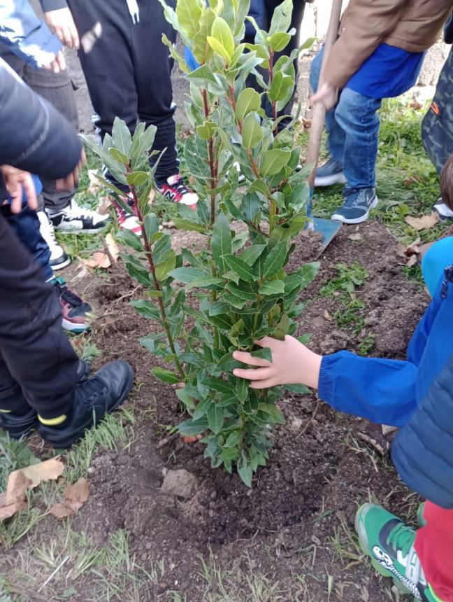 Torareccio celebra la festa dell’albero: “Ci danno tanto, ora tocca a noi” 