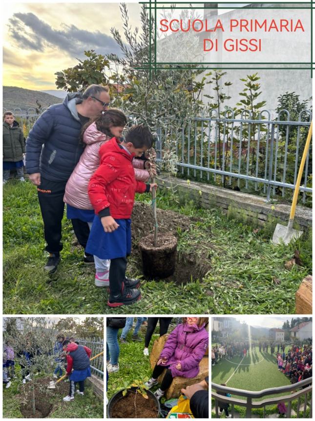 Festa dell’albero: ecco le iniziative delle scuole del Vastese