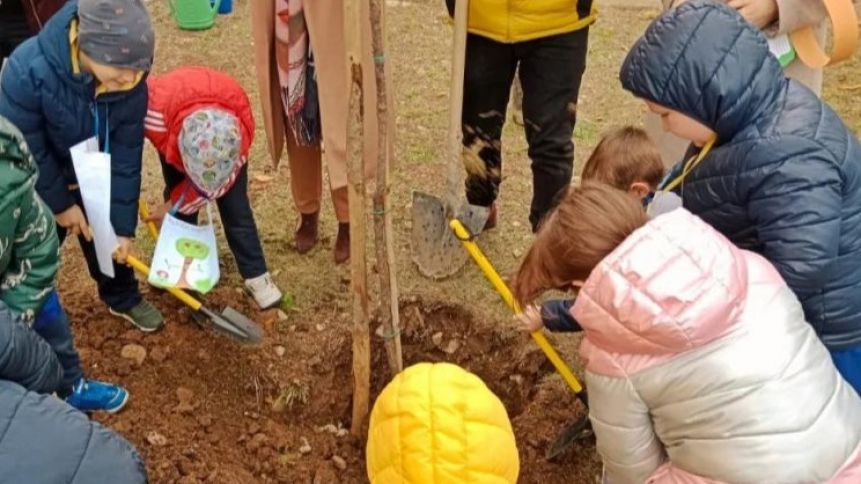 Festa dell'albero, le scuole vastesi piantano giovani piante