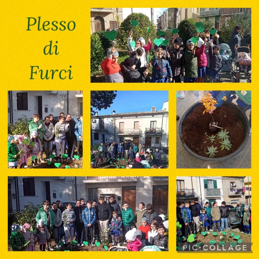 Festa dell’albero: ecco le iniziative delle scuole del Vastese