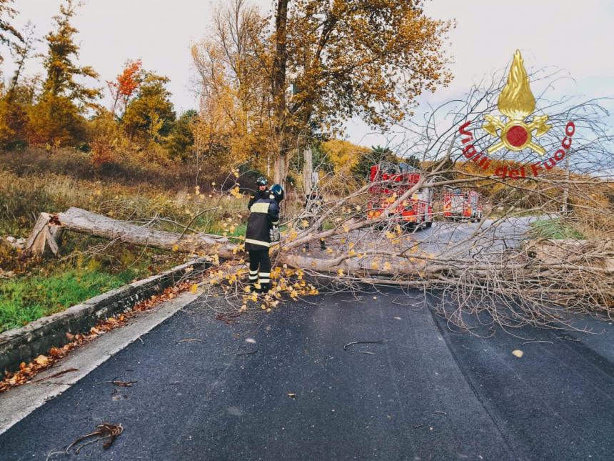 Maltempo in Molise: numerosi interventi dei Vigili del fuoco