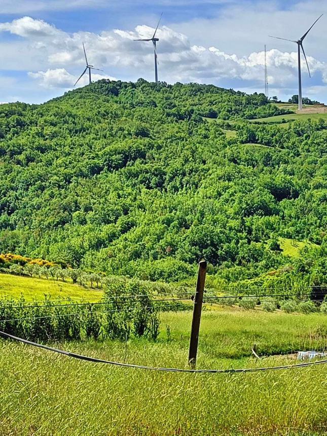 “Anche a Celenza pali telefonici pericolanti, chi di dovere provveda”