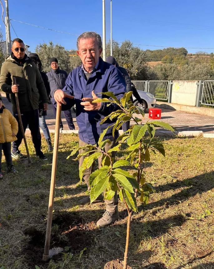 Pianta di castagno e un Luisito per le deiezioni: a Cupello il progetto dell'infanzia Ridolfi