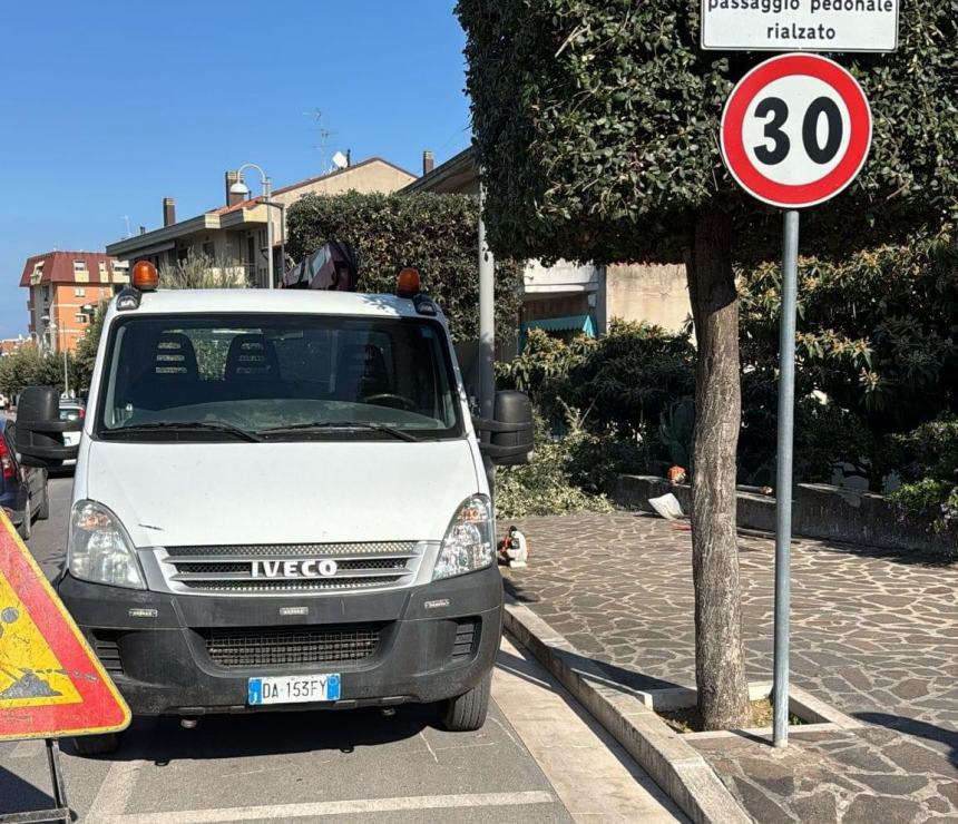 A San Salvo al via la manutenzione delle alberature di via Istonia