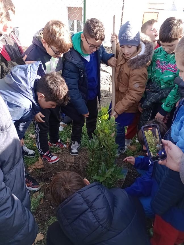 Torareccio celebra la festa dell’albero: “Ci danno tanto, ora tocca a noi” 