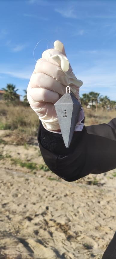 Un "mare di scoperte": la scuola sulla spiaggia 