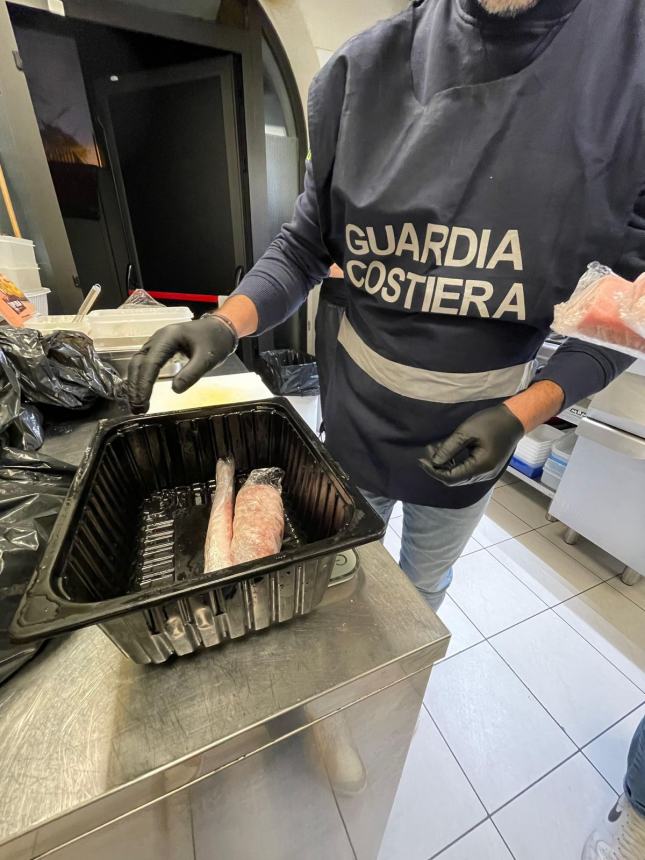  E-fishing: operazione della Guardia Costiera a tutela della filiera della pesca