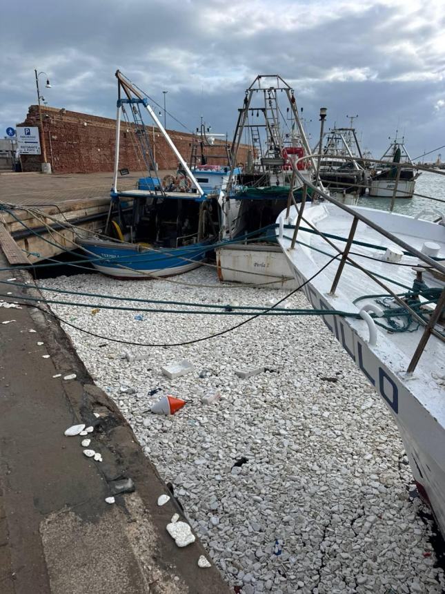 La mareggiata al porto di Termoli 