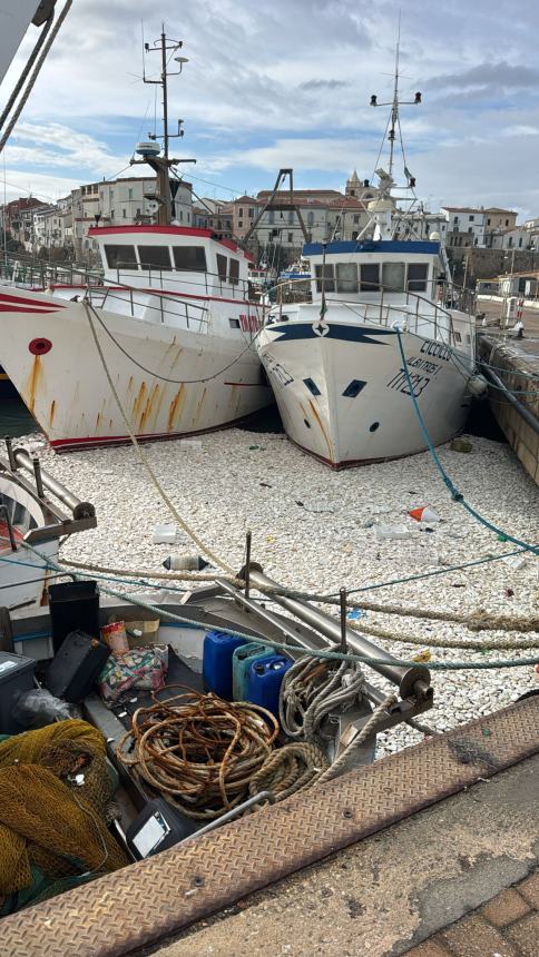 La mareggiata al porto di Termoli 