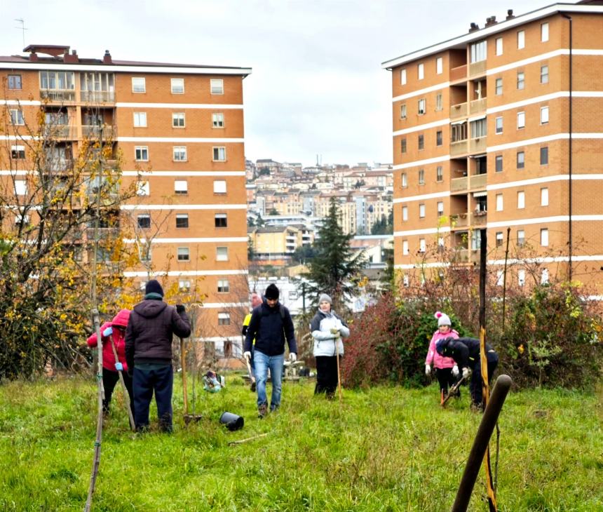 Trasferta campobassana per il comitato "Più alberi" di Termoli 