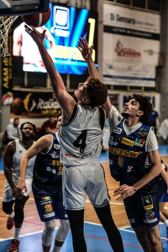 Battuta d'arresto per l'Air basket Italiangas Termoli: al PalaSabetta vince il Bisceglie