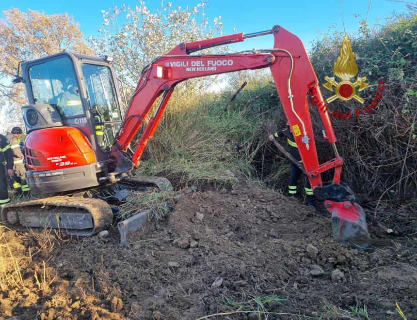 Vigili del fuoco salvano un cane da un cunicolo lungo 15 metri 