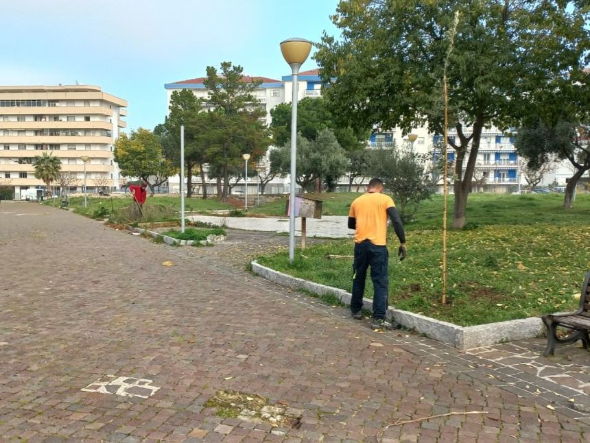 Nella villa “Falcone e Borsellino” una nuova area verde con 21 alberi di leccio