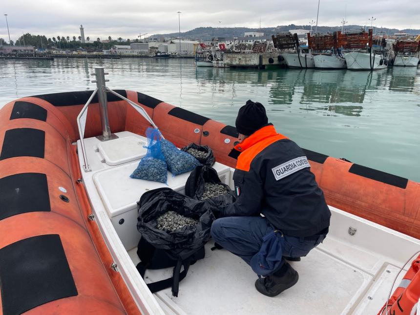  E-fishing: operazione della Guardia Costiera a tutela della filiera della pesca