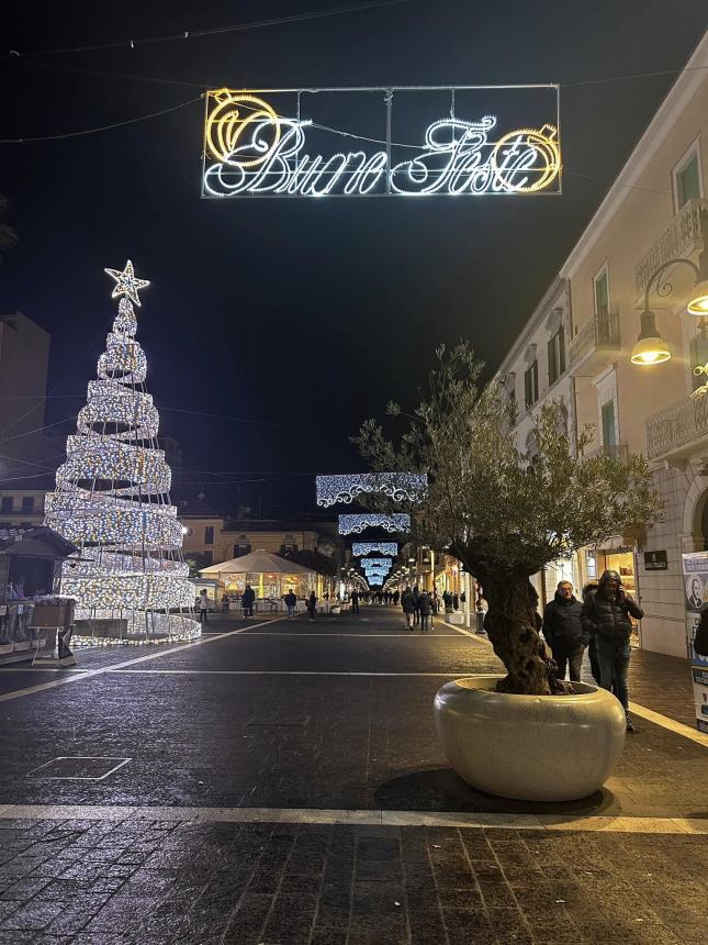 Natale a Termoli: inaugurato il grande albero