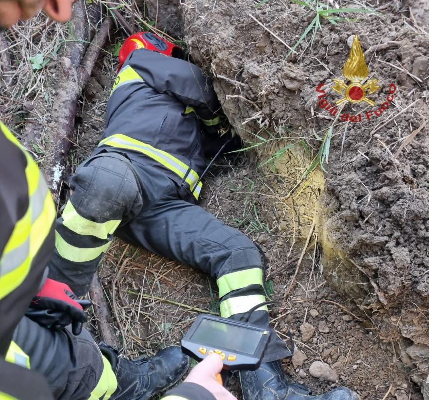 Vigili del fuoco salvano un cane da un cunicolo lungo 15 metri 