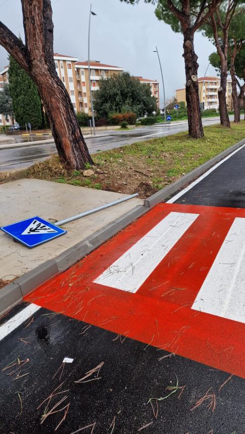 Maltempo a Termoli: interventi e criticità sul territorio