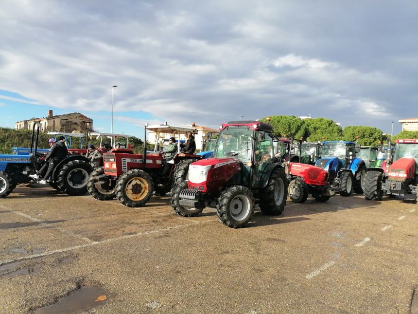 La festa del Ringraziamento Coldiretti 