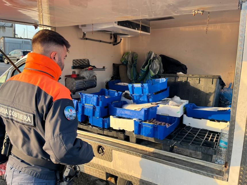  E-fishing: operazione della Guardia Costiera a tutela della filiera della pesca