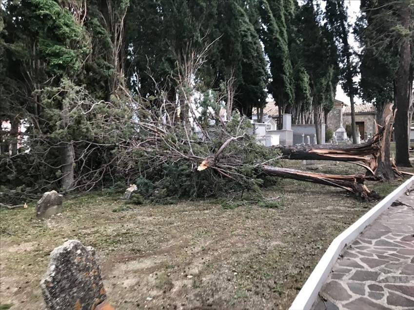 Furgone ribaltato a Casalanguida per il forte vento e alberi caduti