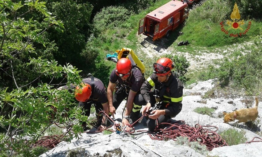 Esercitazione dei Vigili del fuoco nel soccorso alpino e fluviale