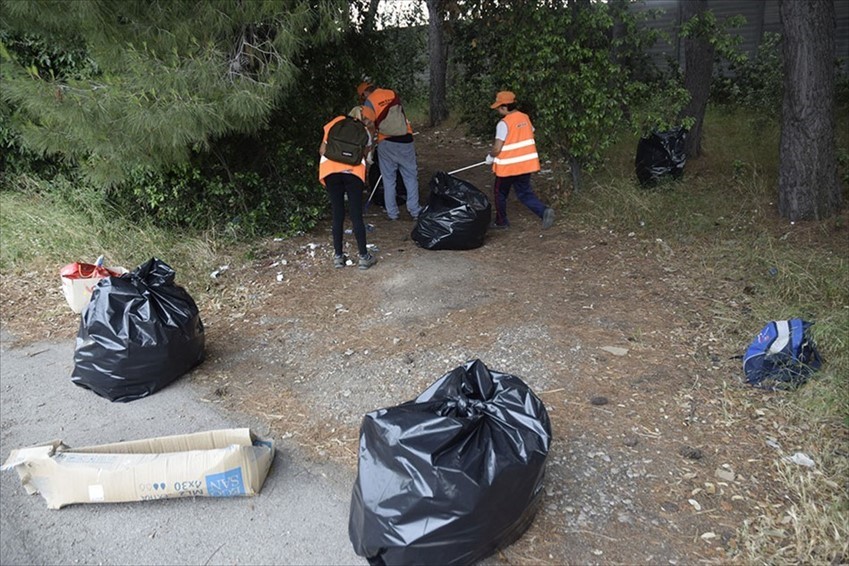 Operai comunali a lavoro per ripulire Viale Belgio