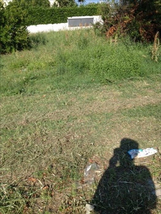 Sfalcio dell'erba in via San Rocco, una residente: "Lavoro fatto a metà"