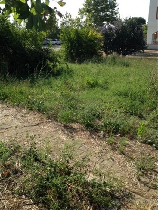 Sfalcio dell'erba in via San Rocco, una residente: "Lavoro fatto a metà"