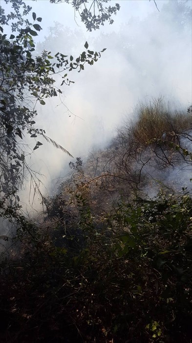 Incendio a Monteodorisio, sul posto Vigili del Fuoco e Protezione Civile