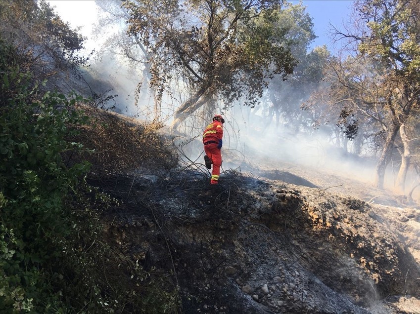 Incendio a Monteodorisio, sul posto Vigili del Fuoco e Protezione Civile