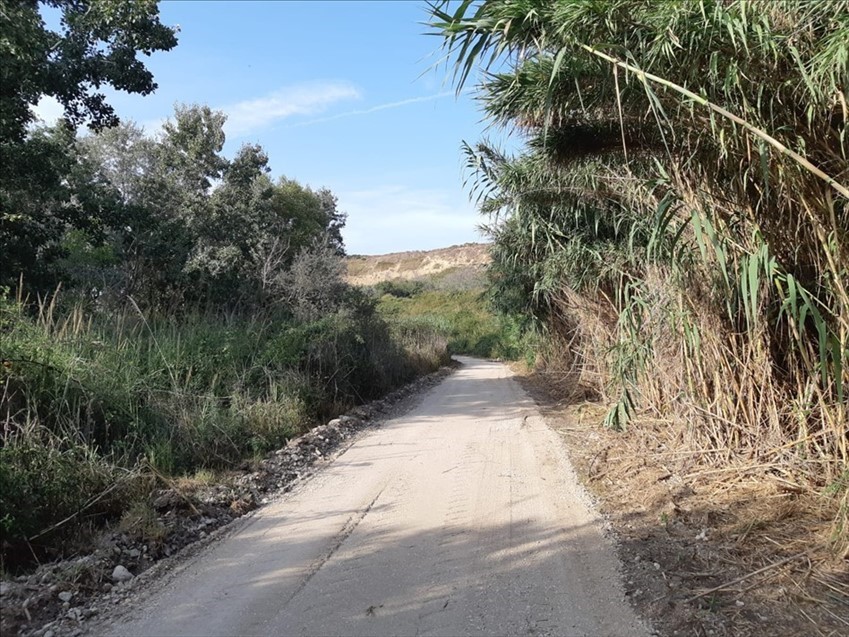 Nuovo sentiero da Punta Aderci al Bosco di Don Venanzio