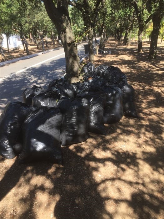 Volontari Geav a lavoro per pulire la Villa Comunale: "Raccolti 22 sacchi di immondizia"