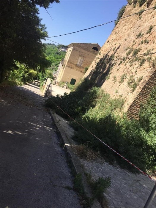 Cade un albero sui tralicci in via Porta Palazzo, interviene la Potezione Civile