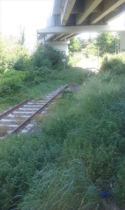 Linea ferroviaria Termoli-Campobasso