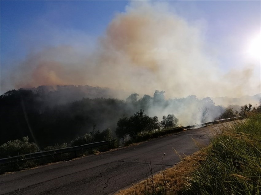 Incendio lungo la Trignina fra Dogliola e Palmoli