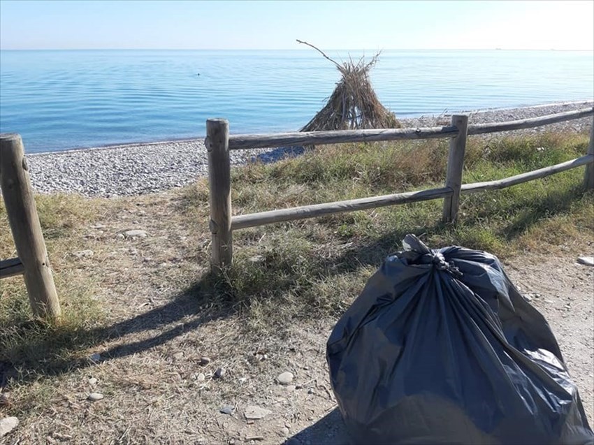Rifiuti raccolti nella Riserva sulla spiaggia di Mottagrossa