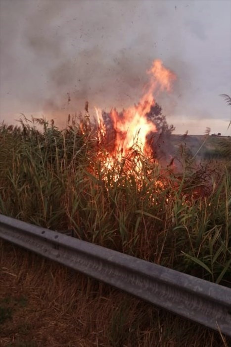 Incendio a Casalbordino, domato dalla Protezione Civile
