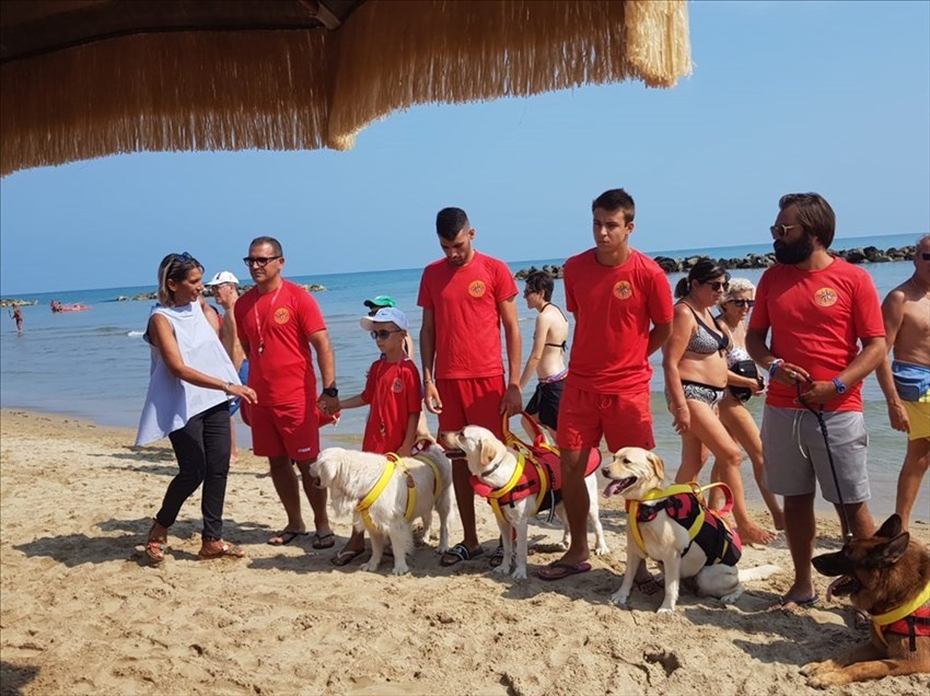 Sea Rescue Dog, simulazioni di salvataggio in mare con cani addestrati