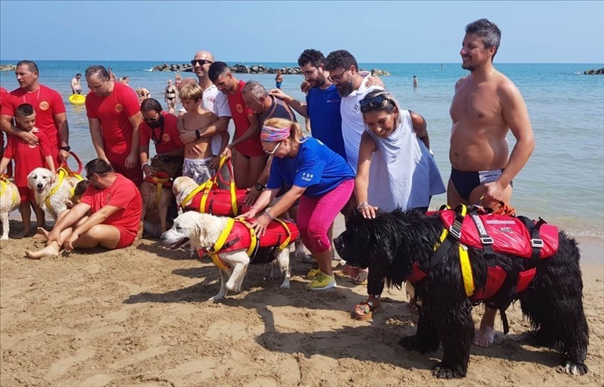 Sea Rescue Dog, simulazioni di salvataggio in mare con cani addestrati