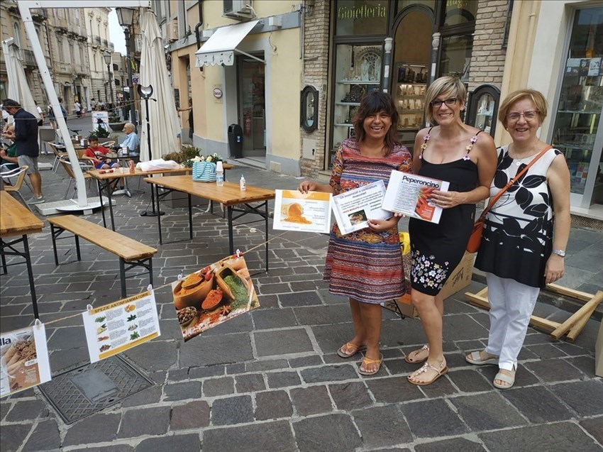 Anche l'Avis di Vasto in festa per "Colori della Solidarietà"