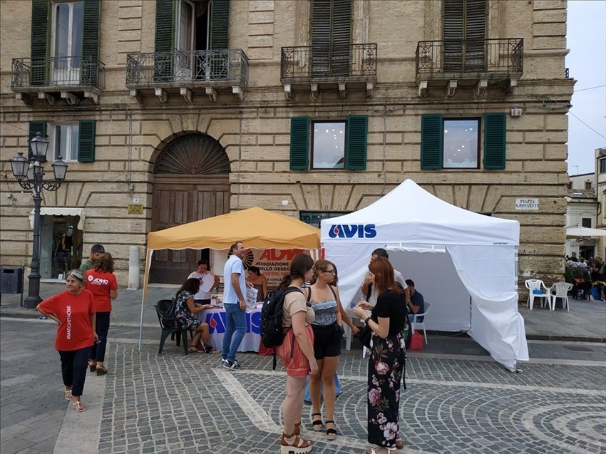 Anche l'Avis di Vasto in festa per "Colori della Solidarietà"