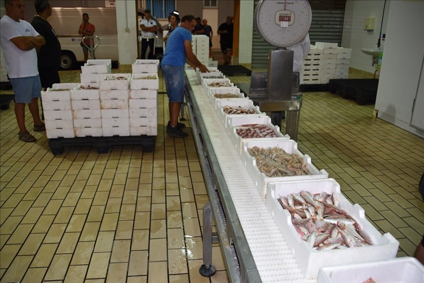 Il mercato ittico torna a pulsare di vita, all'asta il pesce fresco