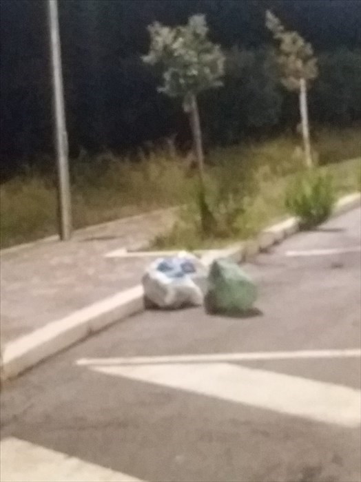 Sacchi di rifiuti gettati in strada nei pressi di via del Porto