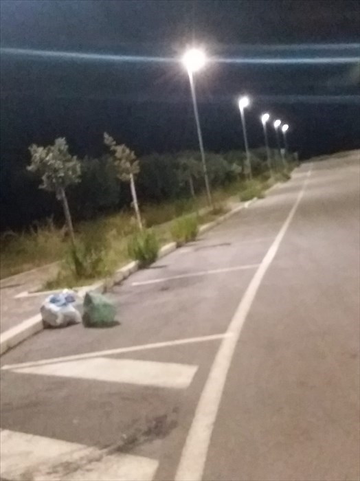 Sacchi di rifiuti gettati in strada nei pressi di via del Porto