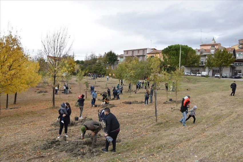 "Un albero per ogni nato", è un successo a Montenero il ritorno dell'evento